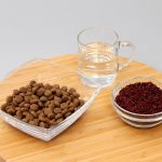 how to feed beets for dogs 1