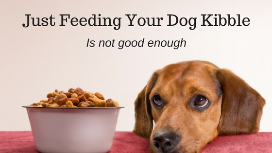 Just Feeding Your Dog Kibble