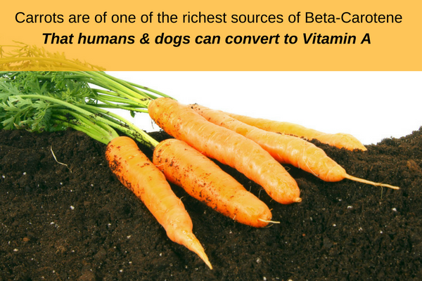 Carrots are high in vitamin A