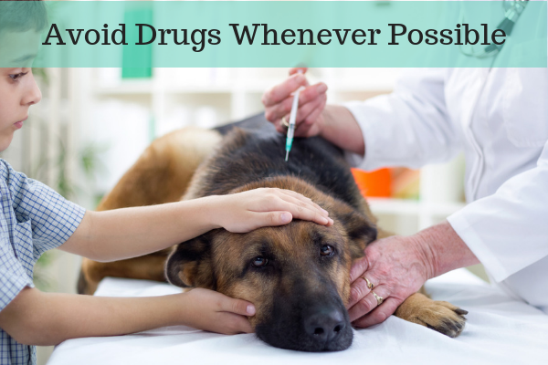 Avoid treating dogs with drugs