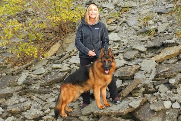 Stress And Boredom Can Influence Dog Gut Health Olewo