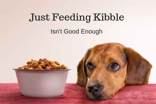 Feeding Kibble