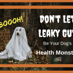 Leaky Gut in Dogs