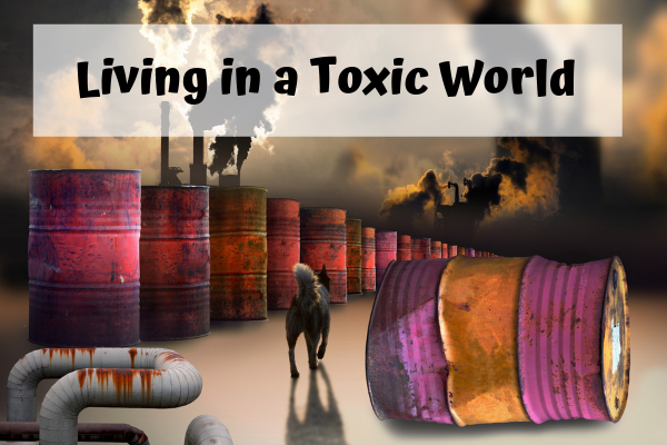 Living in a Toxic World