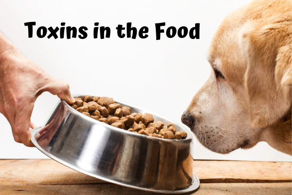 Toxins in the Food
