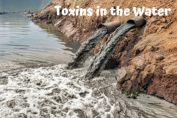 Toxins in the Water
