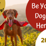 Be Your Dog's Hero
