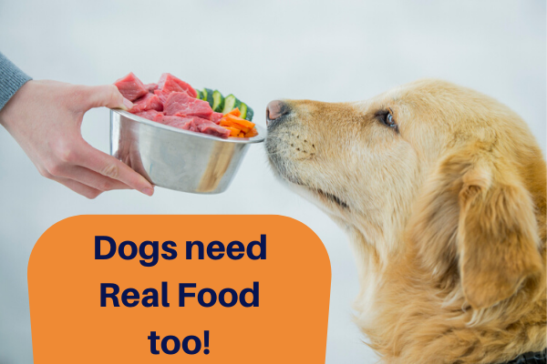 Dogs need Real Food too