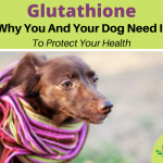 Glutathione to protect health