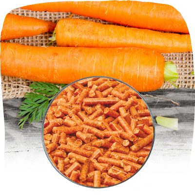 carrots prepared especially for dogs