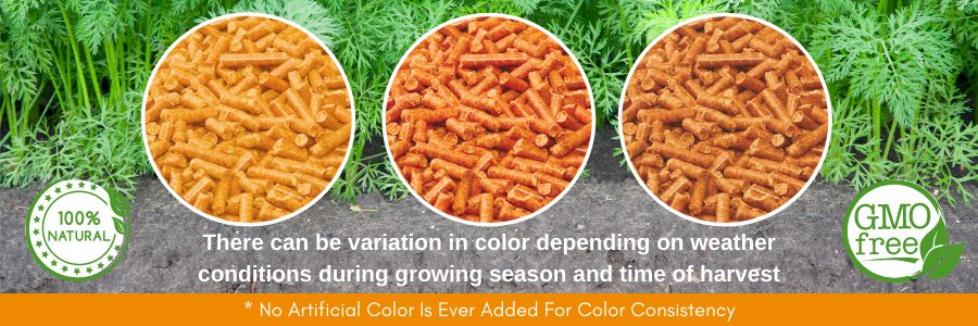 Carrot Color Variation
