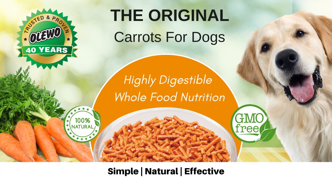 Olewo Carrots For Dogs