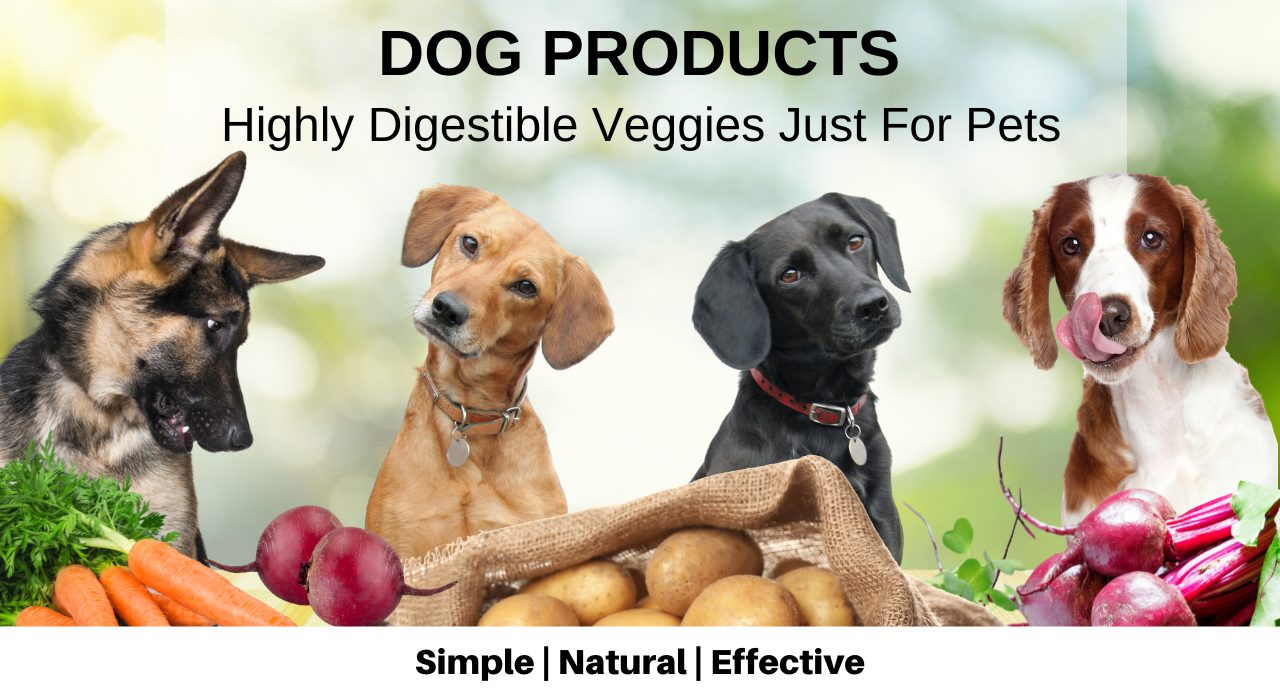 Olewo Dog Products