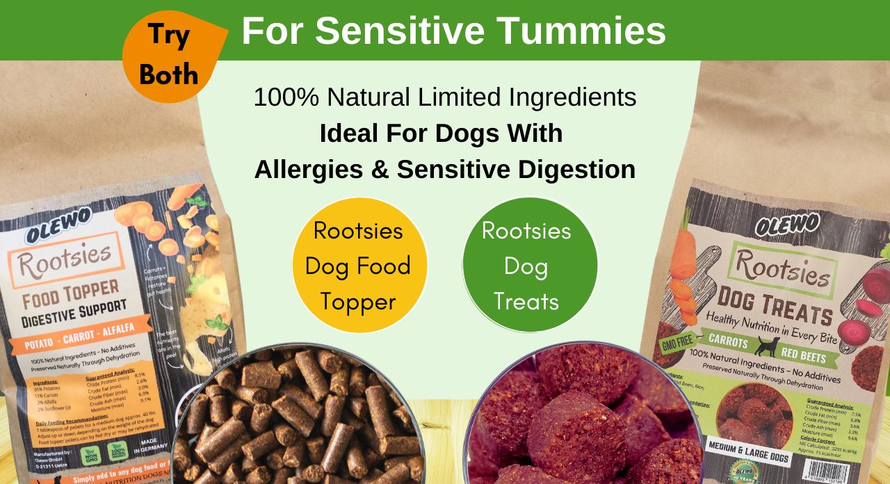 Try Rootsies Products For Sensitive Dog Digestion
