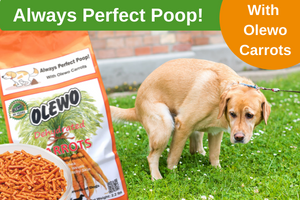 Always perfect poop with Olewo Carrots