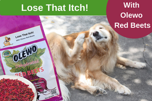 Lose that itch with Olewo Red Beets
