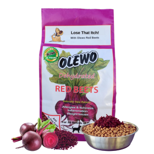 olewo beets for dogs