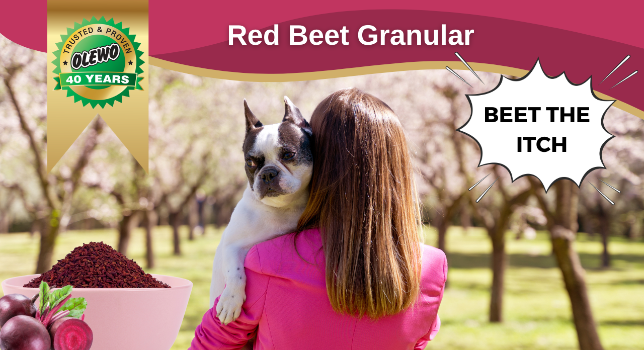beets for dog itching