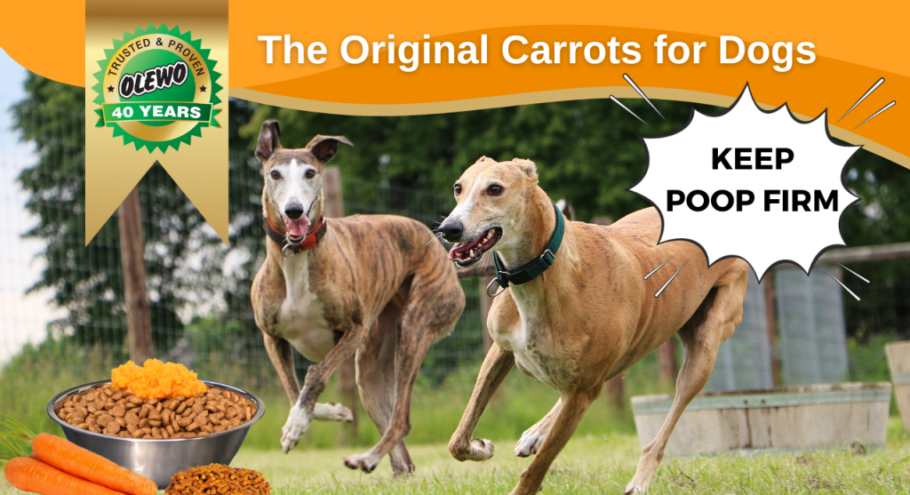 Cure Dog Diarrhea Fast with Olewo Carrots for Dogs Trusted 40+ years