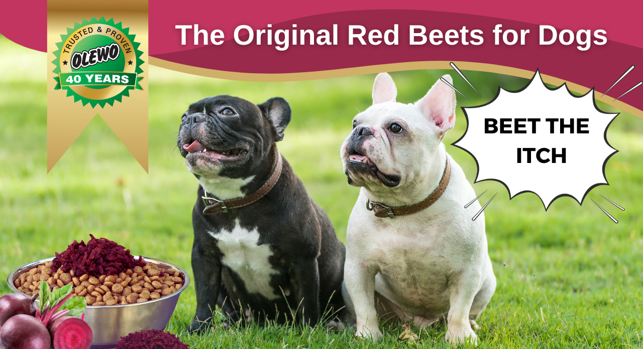 beets for dog itch relief