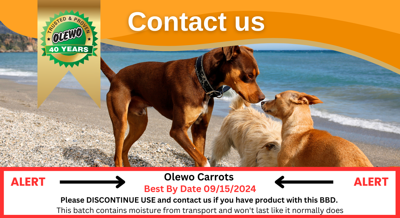 Contact Us