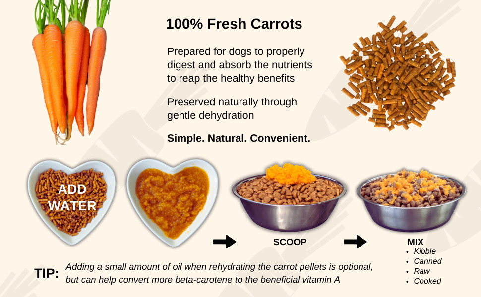 how to feed carrots for dogs