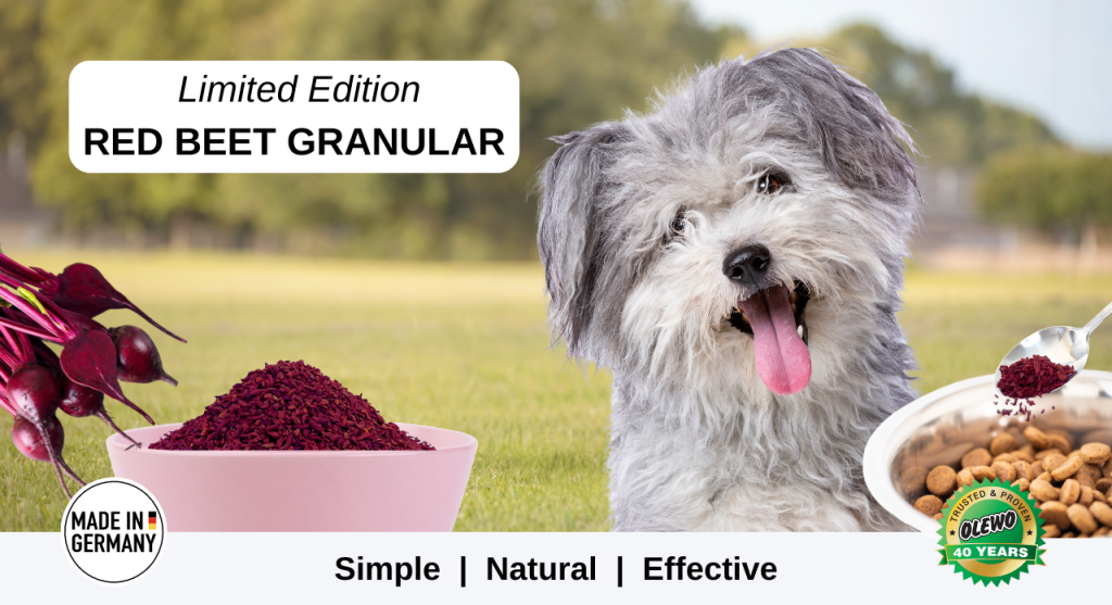 Natural Relief for Dog Allergies and Itching with Olewo Red Beets