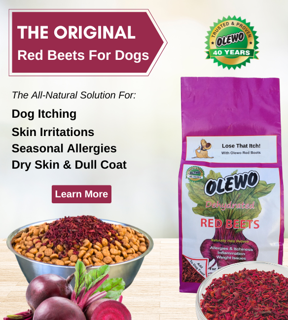 Original Beets for Dogs