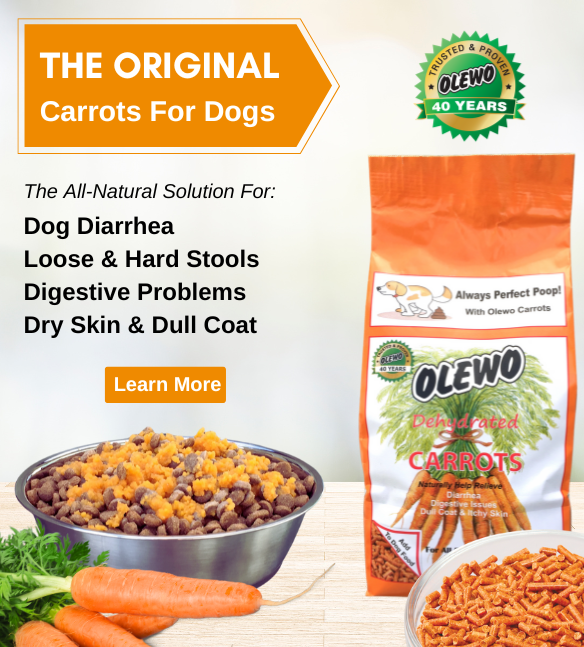 Original Carrots for Dogs