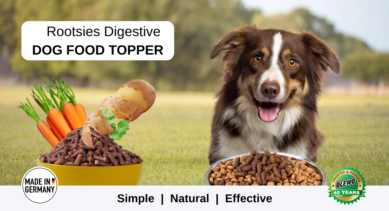 Rootsies Digestive Dog Food Topper