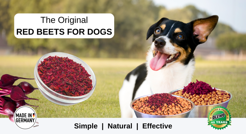 Natural Relief for Dog Allergies and Itching with Olewo Red Beets