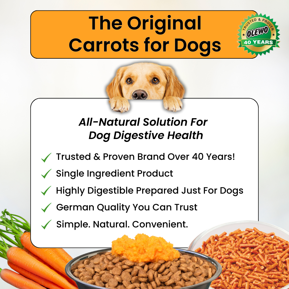 Benefits Original Carrots For Dogs