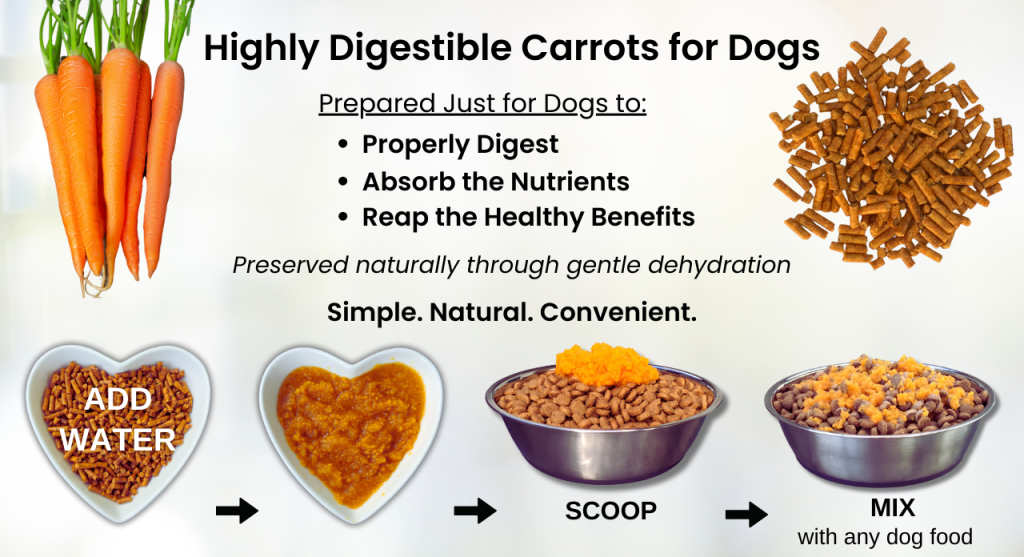 Highly Digestible Carrots for Dogs