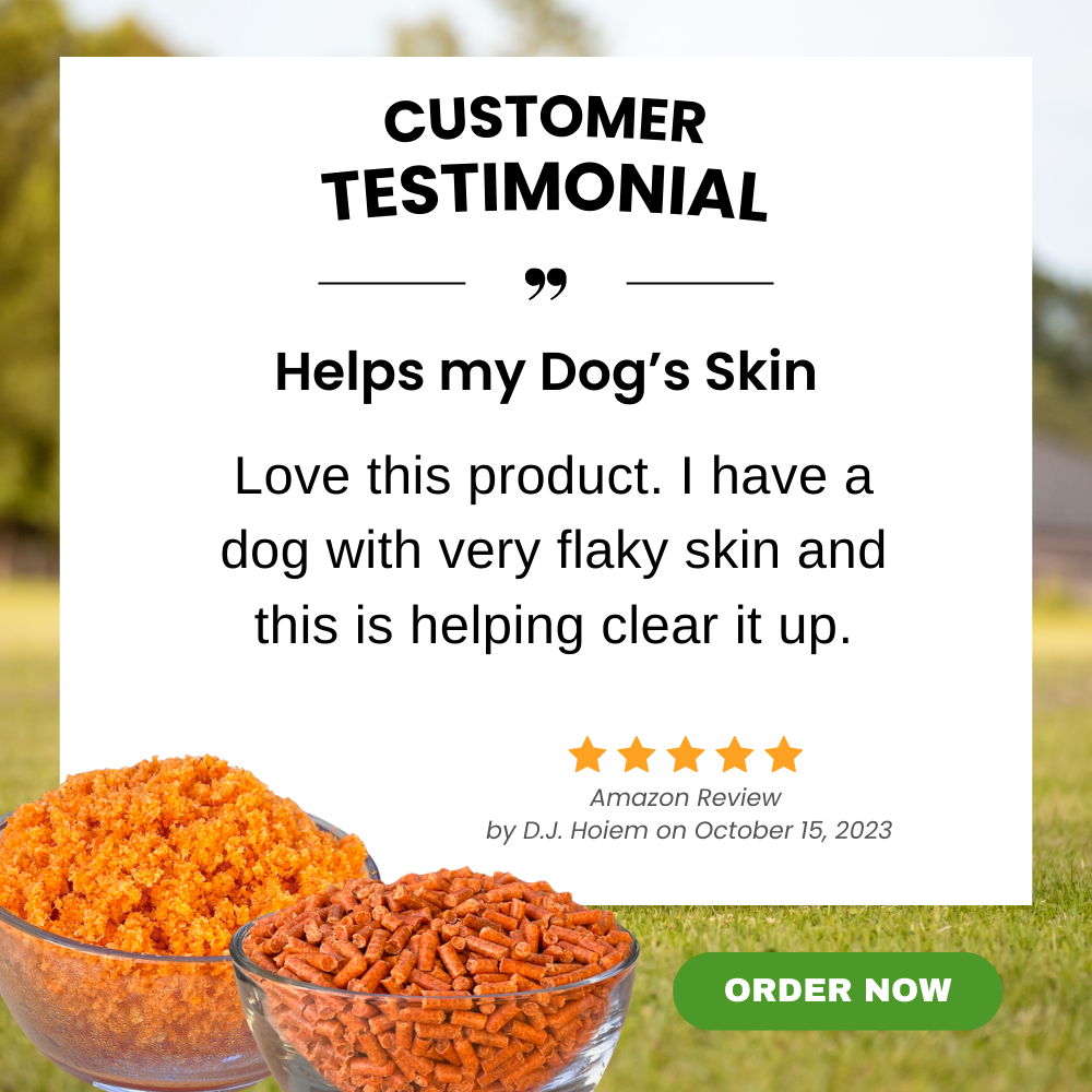 Testimonial - Helps my Dog's Skin