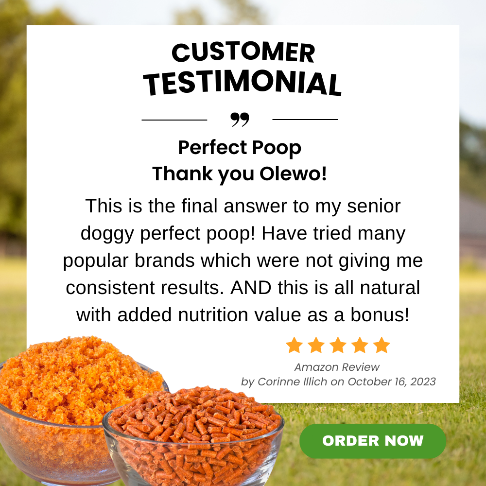 Testimonial - Perfect Poop