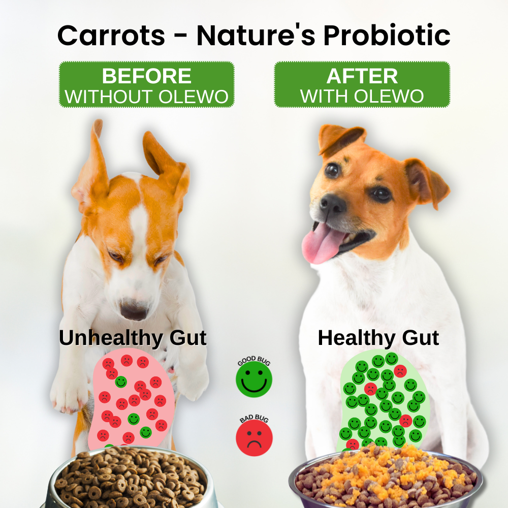 Before and After Carrots Nature's Probiotic