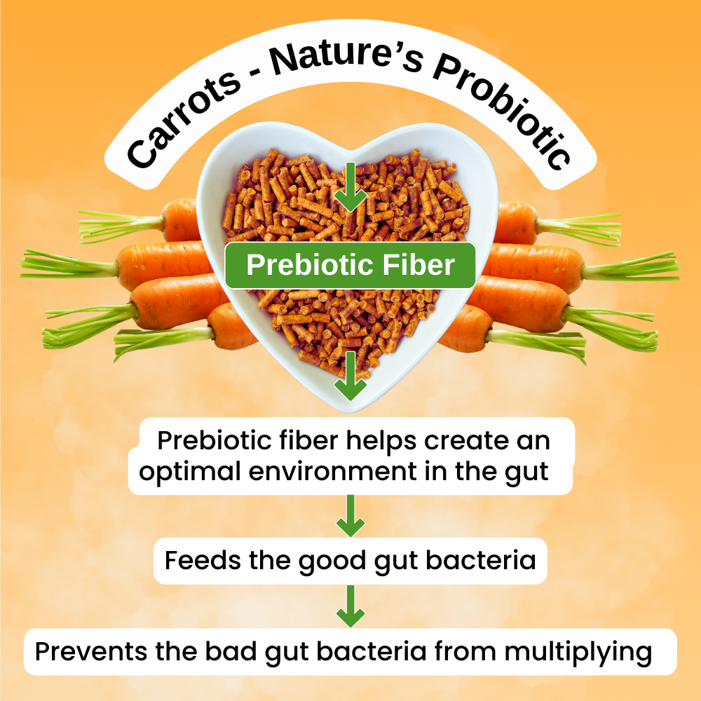 Carrots are Nature's Probiotic