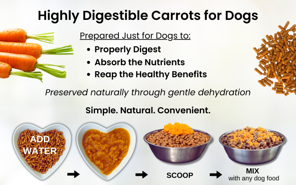 can carrots give dogs diarrhea