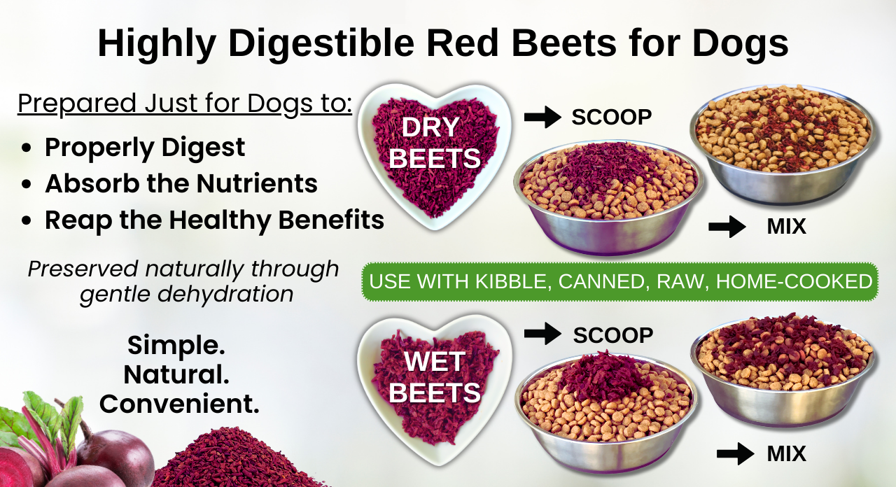 Highly Digestible Red Beets for Dogs