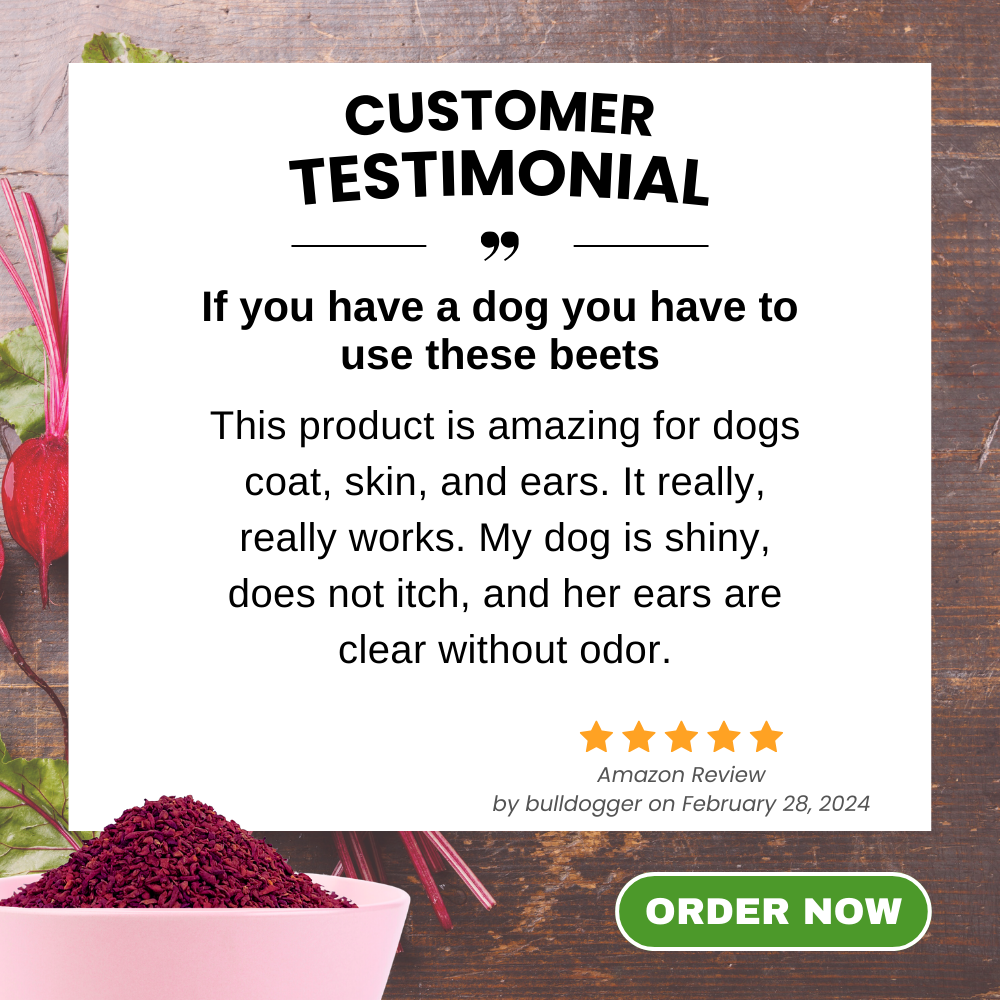Testimonial Amazing Beets for Dogs Coat - Skin - Ears