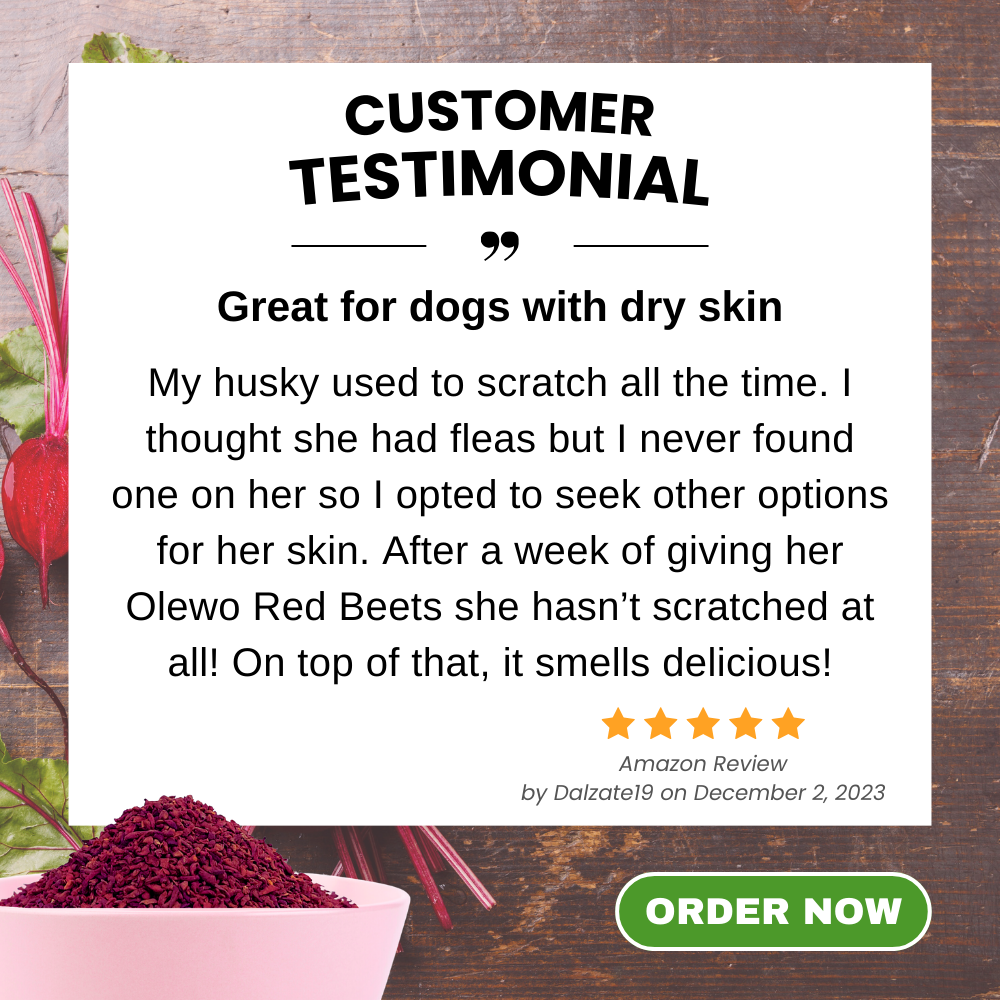 Testimonial Great for Dogs with Dry Skin