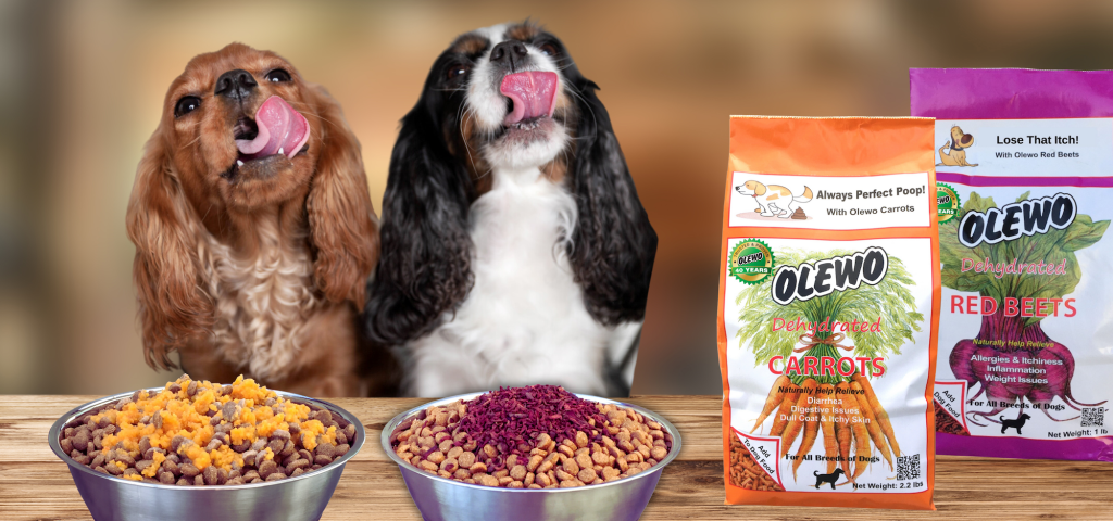 carrots and beets for dogs