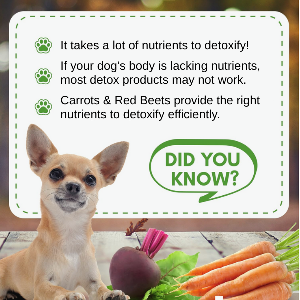 facts on detoxification