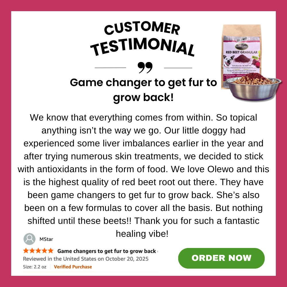 beets for dogs testimonial