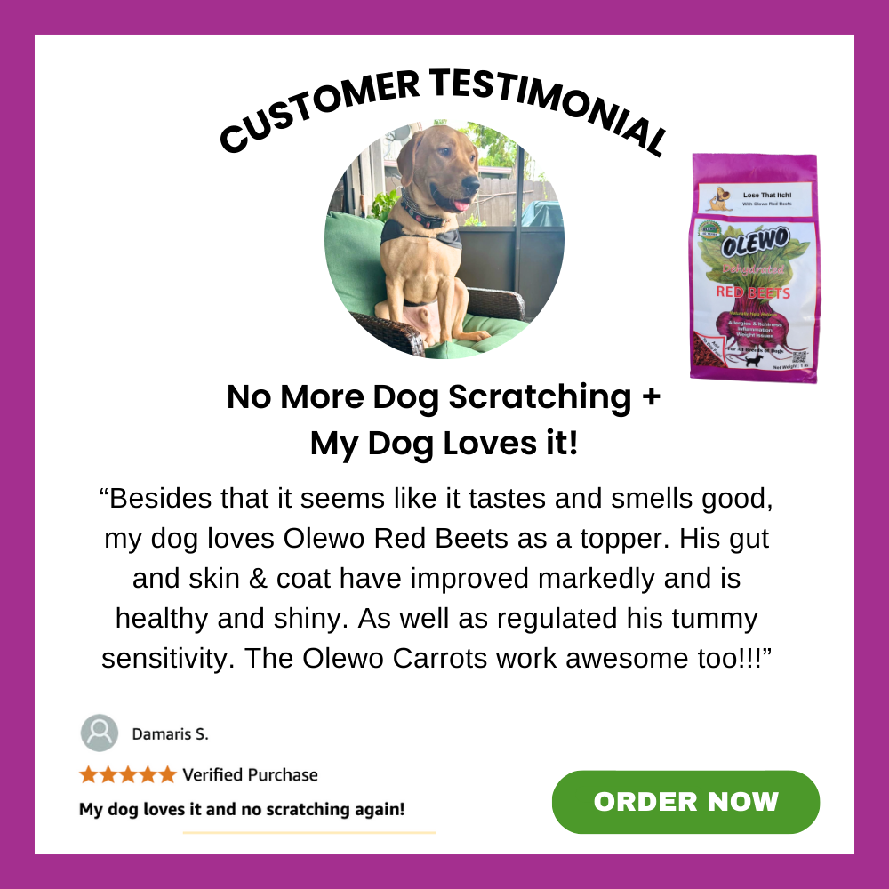 no more dog scratching testimonial