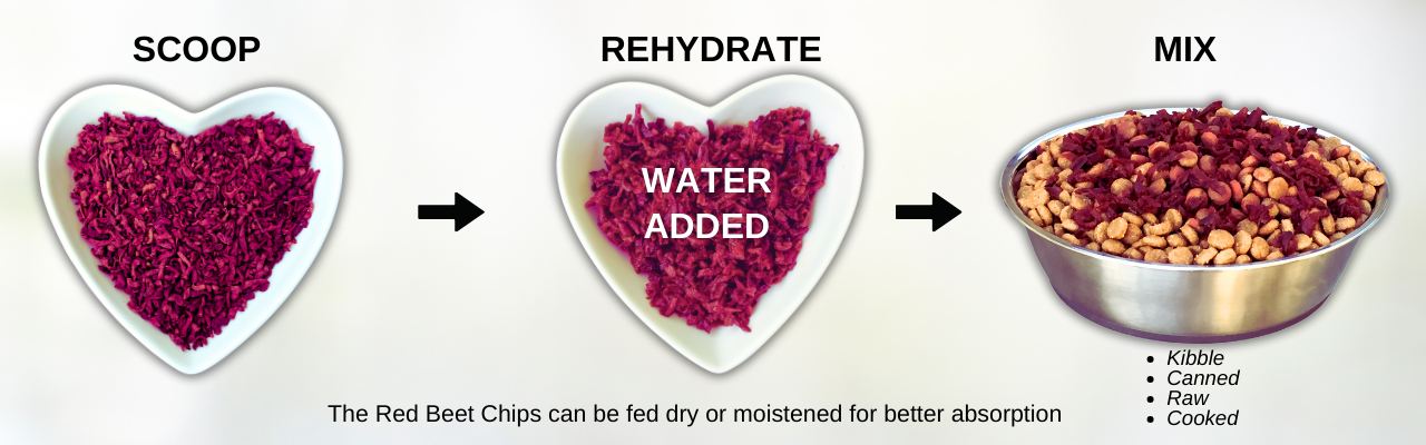 How to prepare Olewo Red Beets for Dogs