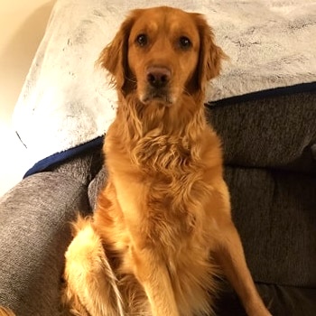 Nova-stopped-itching-with-Olewo-Red-Beets