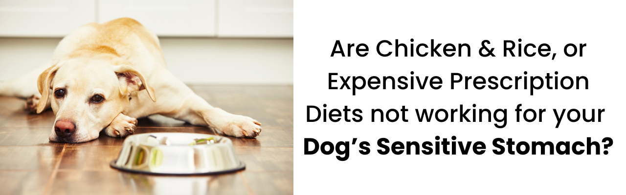 potato carrot alfalfa dog food topper for sensitive stomachs