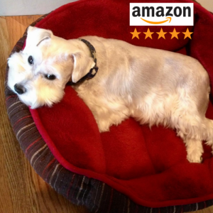 olewo carrots helped sick dog