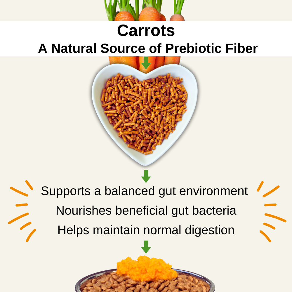 Infographic showing carrots as a natural source of dietary fiber that supports digestive balance.